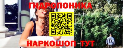 ешки Новокубанск
